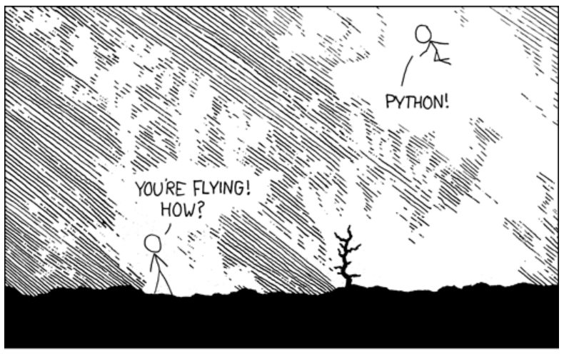 Opening page